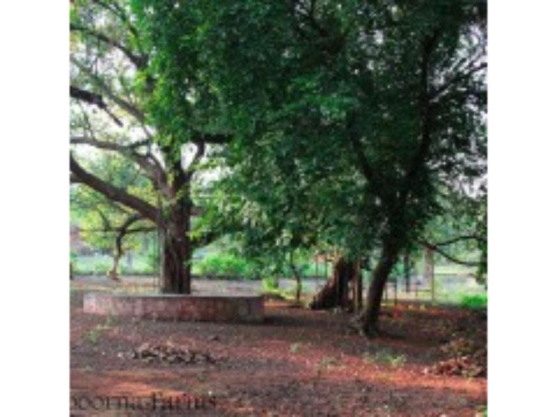 Annapoorna Farms Villa 6Bhk Khopoli Zewnętrze zdjęcie